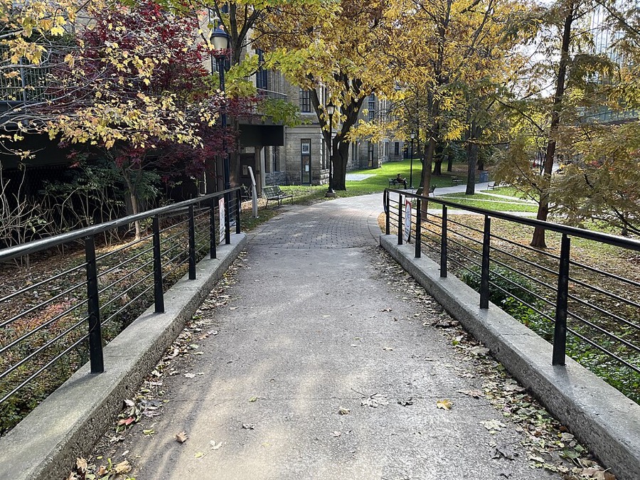 Philosopher's Walk path
